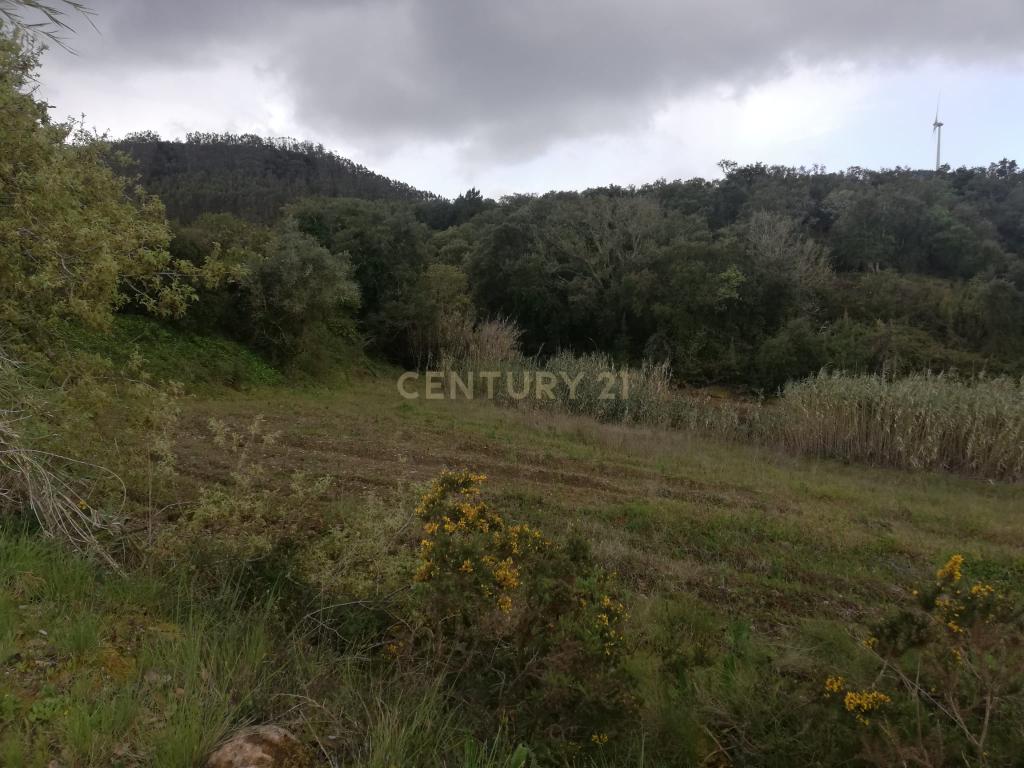  Terreno Agrícola na Zona Oeste - Image 5